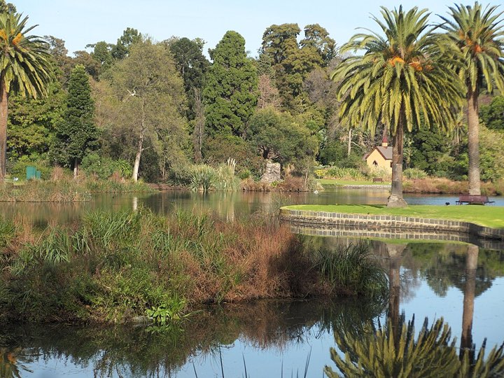 The Ornamental Lake at the Royal Botanic Gardens Melbourne